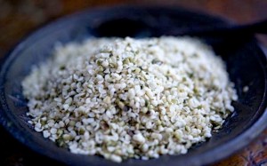 Hemp Hearts