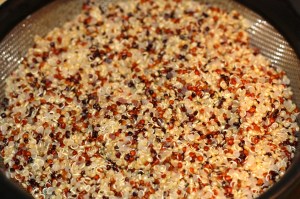 Quinoa Multicoloured